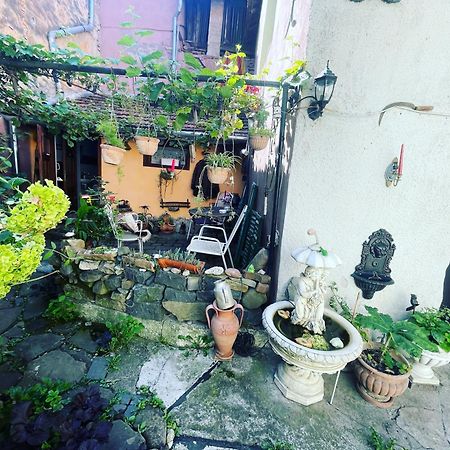 Casa Morar Daire Sighişoara Dış mekan fotoğraf