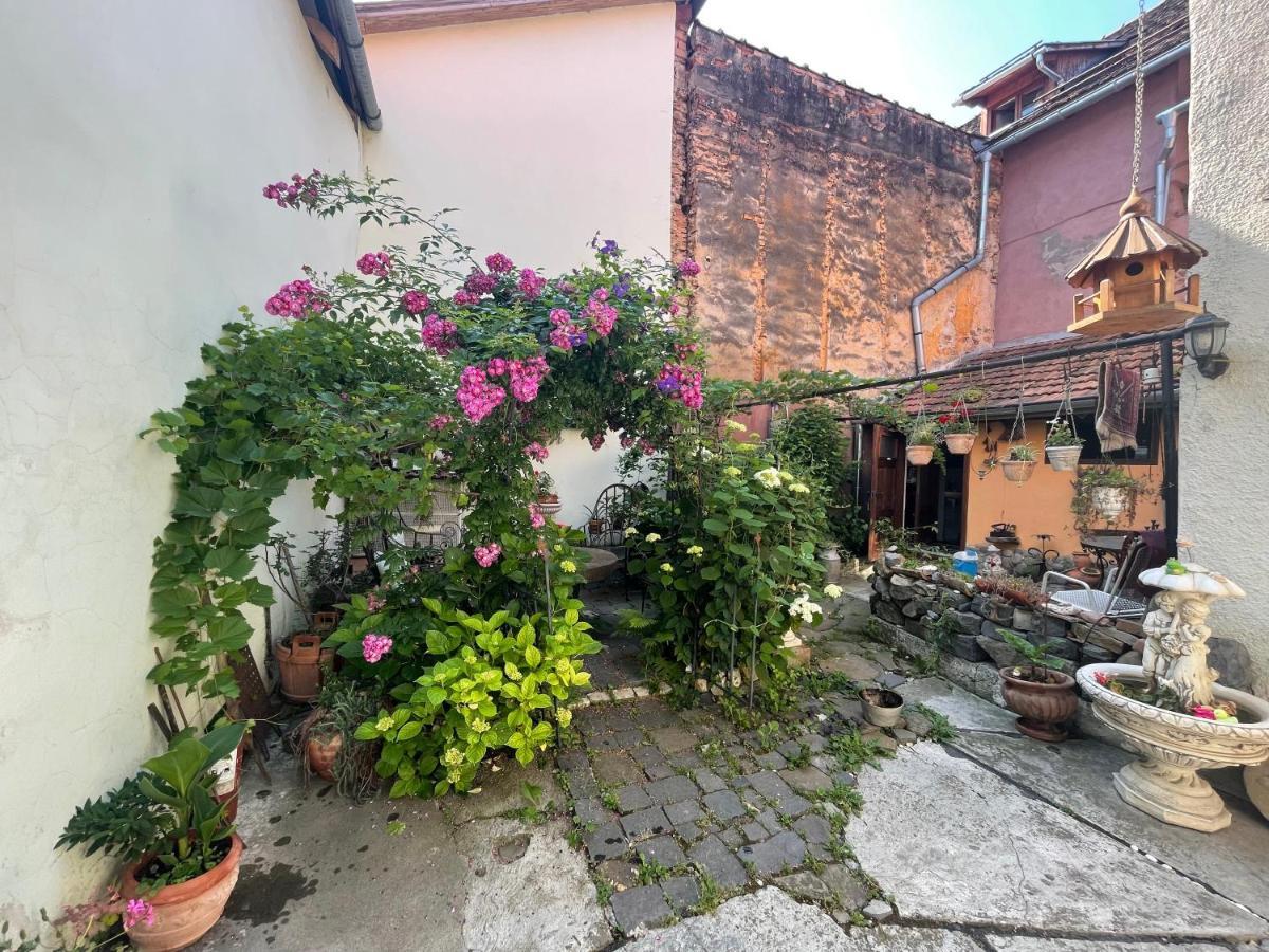 Casa Morar Daire Sighişoara Dış mekan fotoğraf