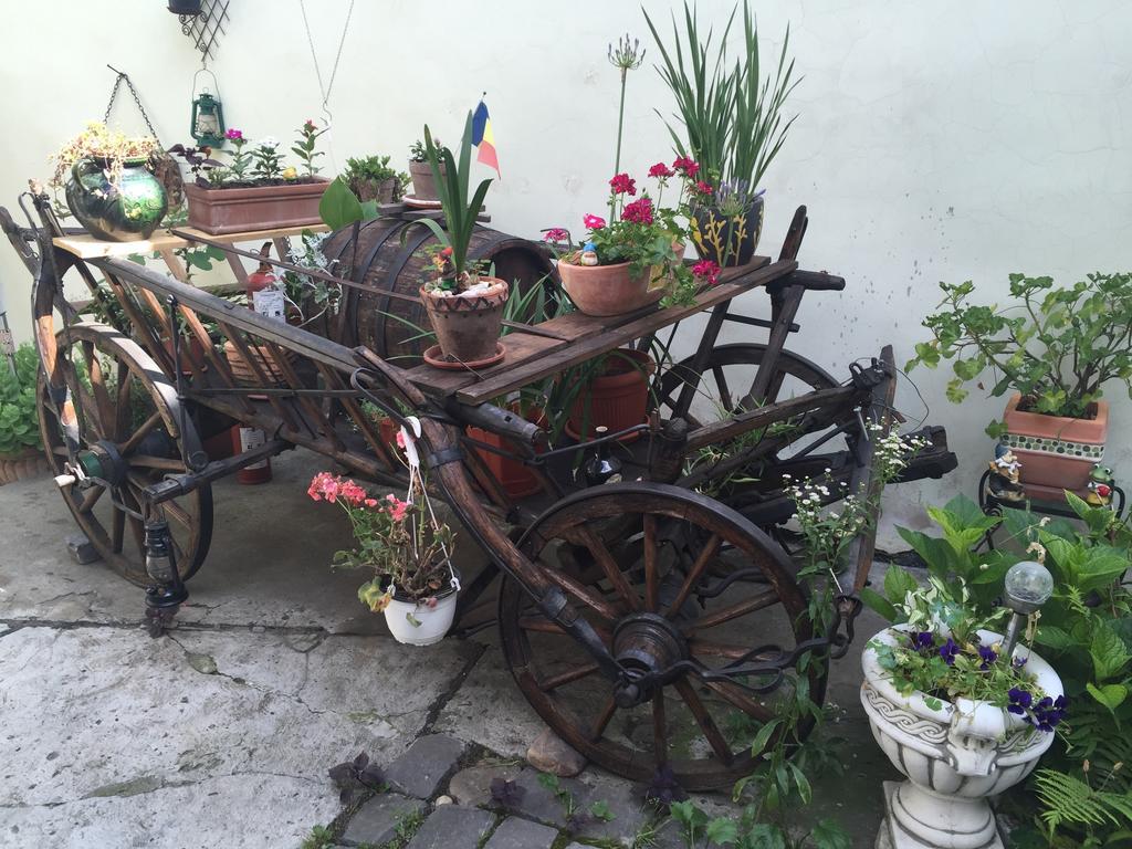 Casa Morar Daire Sighişoara Dış mekan fotoğraf